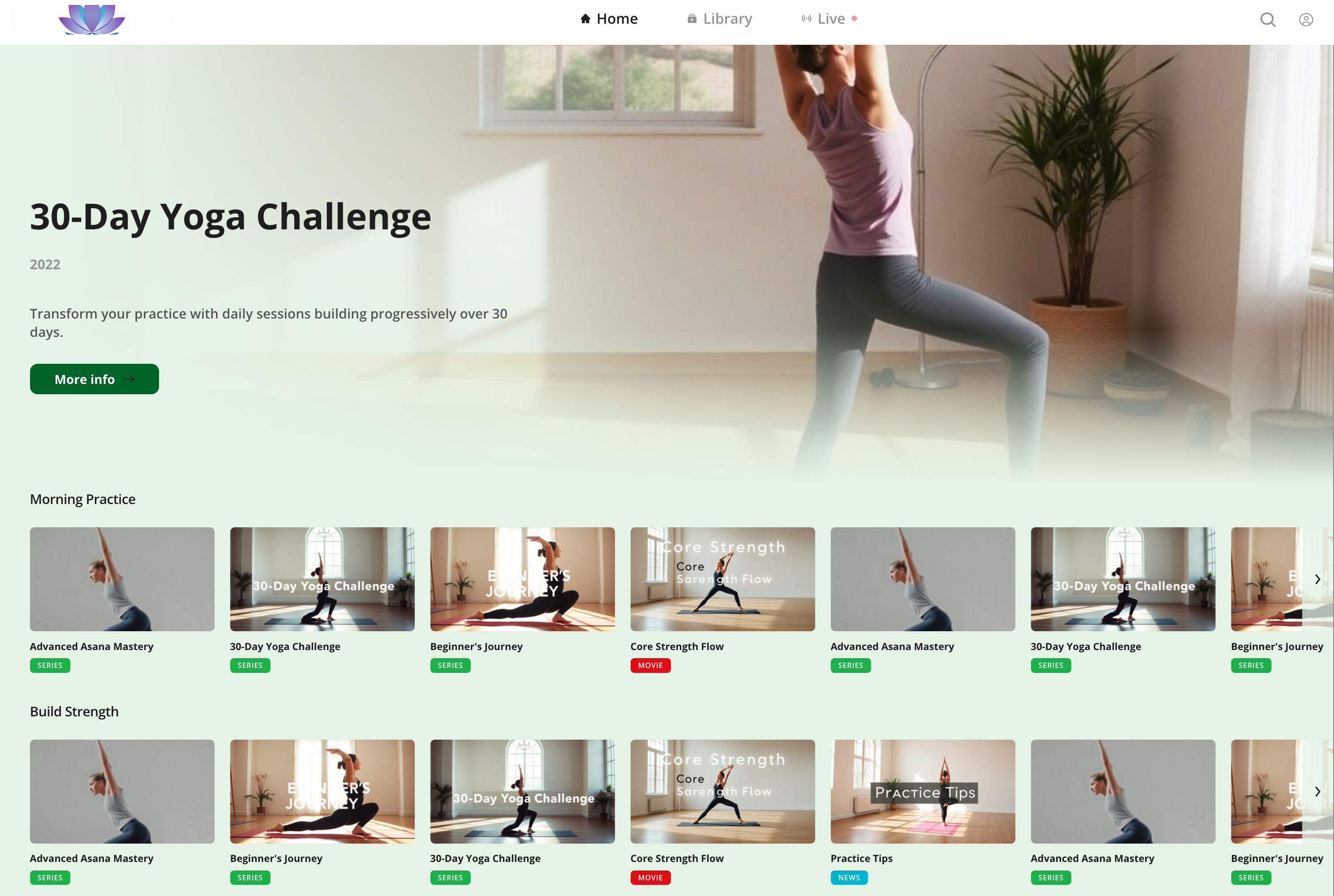 Streaming platform preview